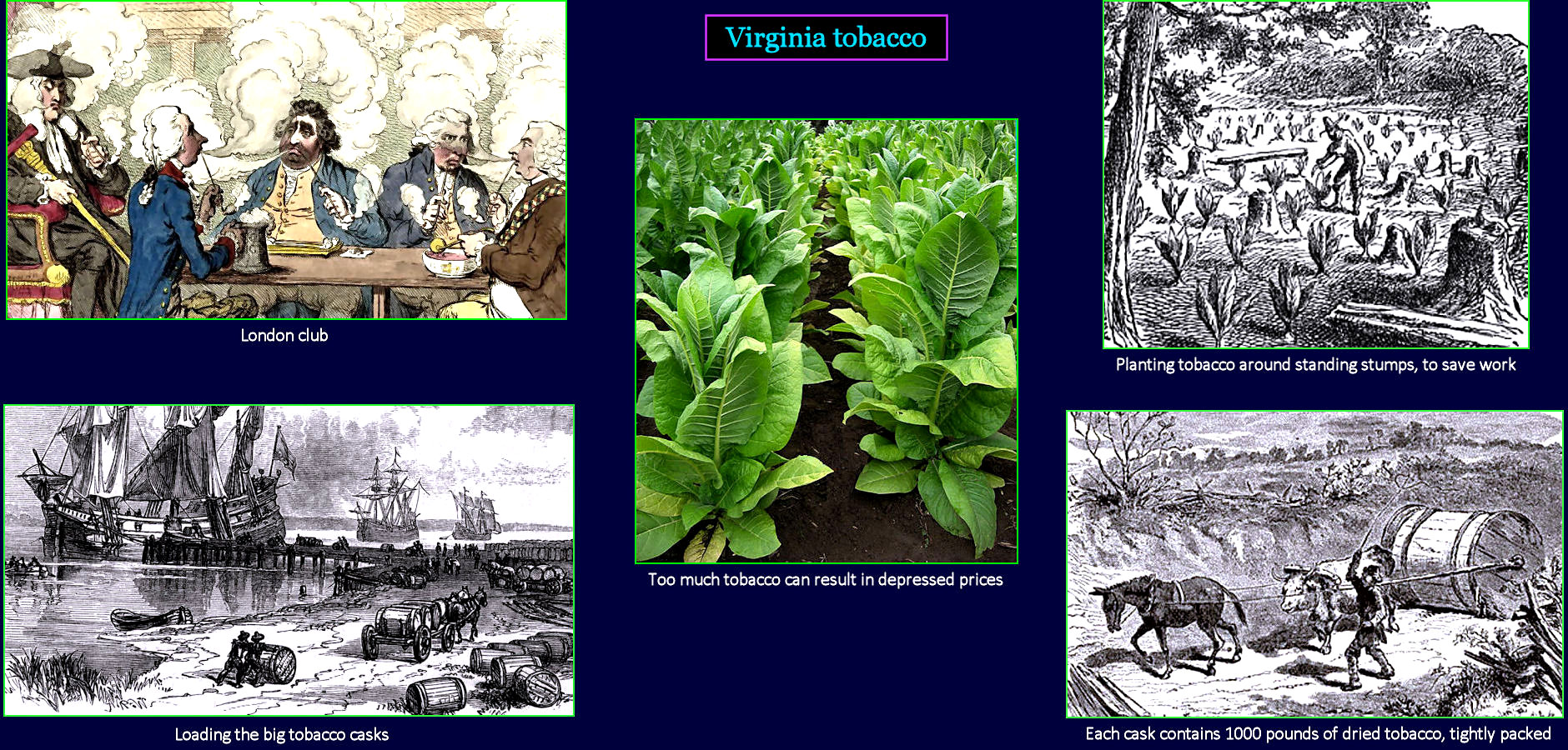 Boom and Bust, Virginia tobacco, 1700